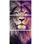 Quadro Decorativo Leão King Sala Corredor Vertical 120x60