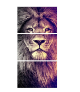 Quadro Decorativo Leão King Sala Corredor Vertical 120x60