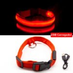 Coleira Luminosa, Segurança Noturna (FRETE GRÁTIS) Cabo Usb de Brinde. - Image 8