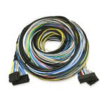 Chicote FT500 Extensão - Image 2