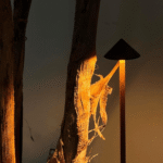 Luminária de Mesa Recarregável Minimalista Stillus - eFlix - Image 3