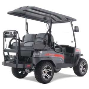 Tao Motor Champ Electric Golf Cart, Large Colorful TFT Display, 48V AC 5KW KDS Motor